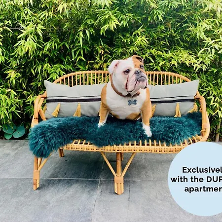 Lägenhet La Petite Adresse Du 10honfleur *