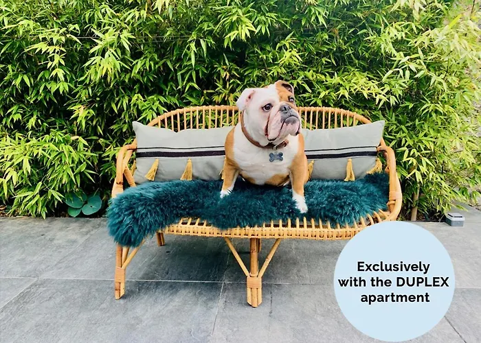 דירה La Petite Adresse Du 10honfleur *